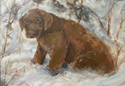 Portrait of a brown puppy