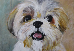 Portrait of a furry dog