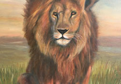 Portrait of a lion